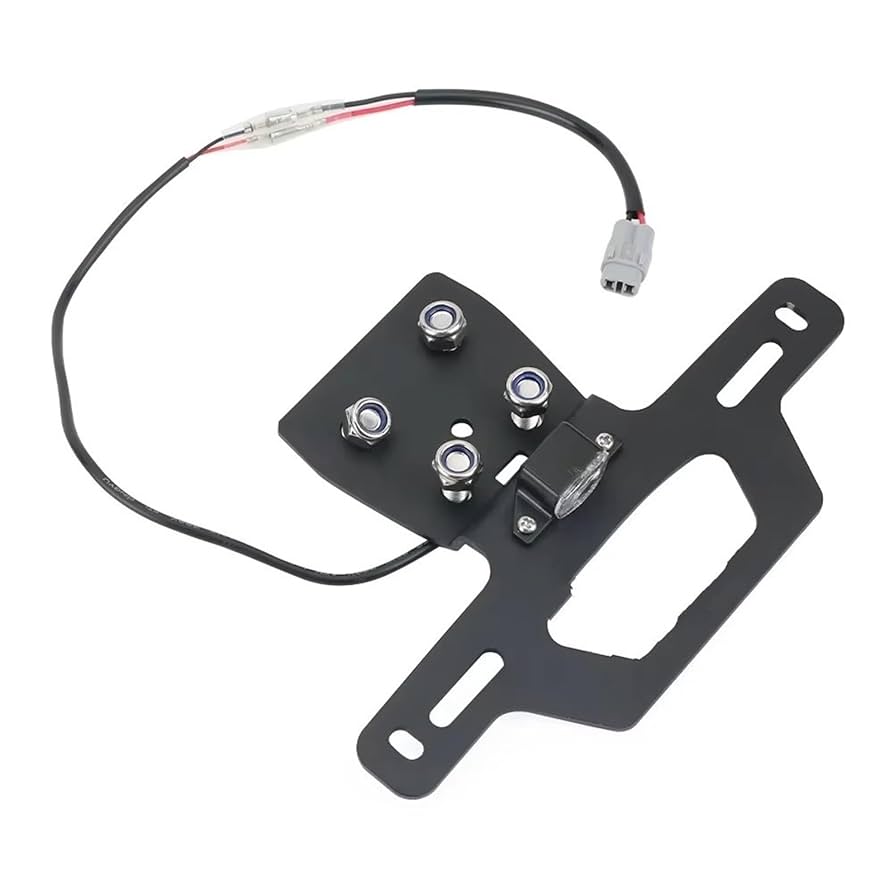 メモリアルプレート用 Amazon.co.jp: ナンバープレートホルダー に適合するニンジャ に